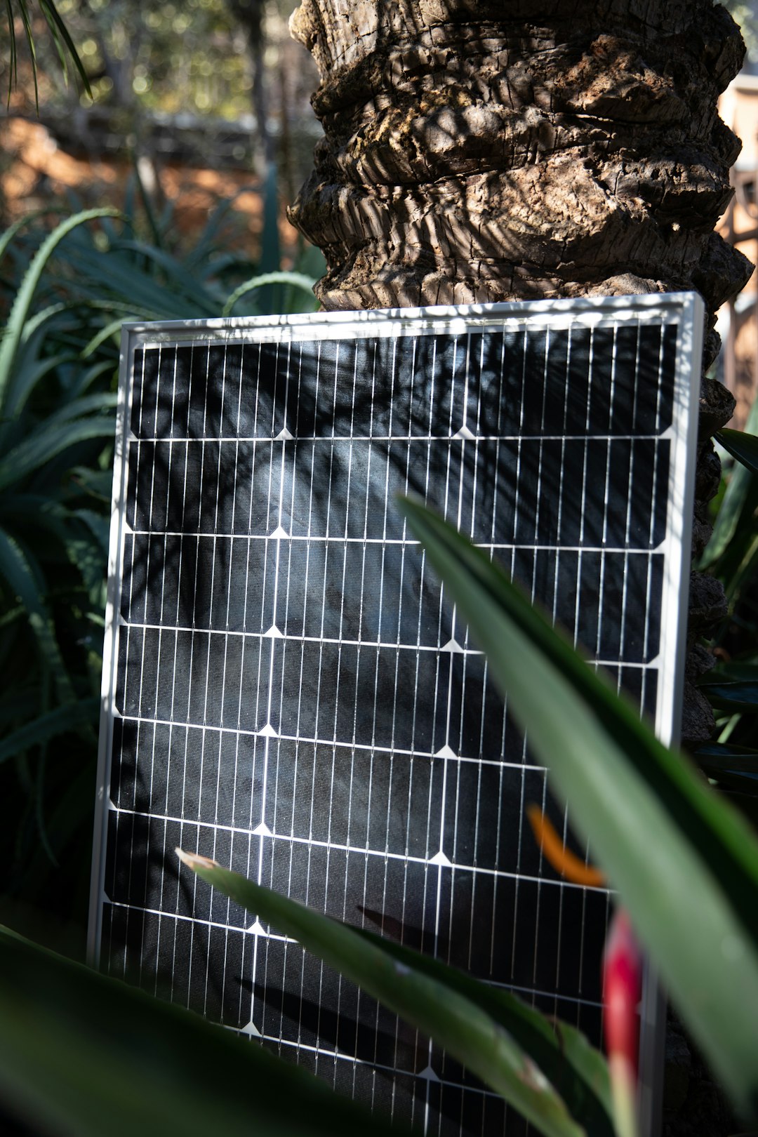 portfolio-02 a-solar-panel-sitting-next-to-a-tree-l-nyu3oenps